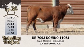 Lot #36 - KR 7093 DOMINO 1105J
