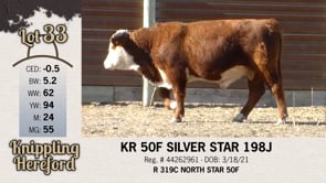 Lot #33 - KR 50F SILVER STAR 198J