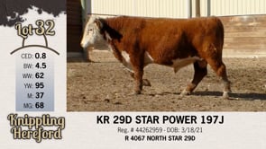 Lot #32 - KR 29D STAR POWER 197J