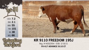 Lot #31 - KR 9110 FREEDOM 195J