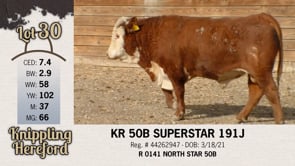 Lot #30 - KR 50B SUPERSTAR 191J