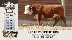 Lot #29 - KR 11E ROCKSTAR 189J