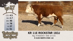 Lot #27 - KR 11E ROCKSTAR 183J