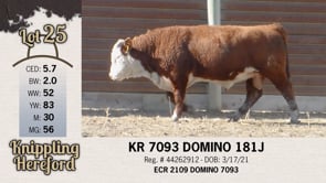 Lot #25 - KR 7093 DOMINO 181J