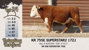 Lot #24 - KR 755E SUPERSTAR2 172J