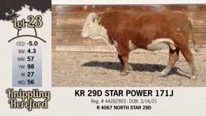 Lot #23 - KR 29D STAR POWER 171J