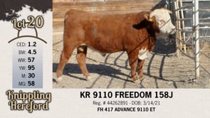 Lot #20 - KR 9110 FREEDOM 158J