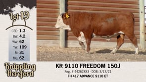 Lot #19 - KR 9110 FREEDOM 150J