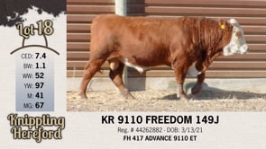 Lot #18 - KR 9110 FREEDOM 149J