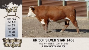Lot #17 - KR 50F SILVER STAR 146J