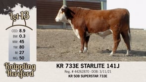 Lot #13 - KR 733 E STARLITE 141J