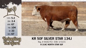 Lot #9 - KR 50F SILVER STAR 134J