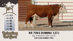Lot #7 - KR 7093 DOMINO 127J