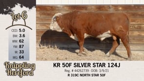 Lot #6 - KR 50F SILVER STAR 124J