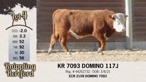 Lot #4 - KR 7093 DOMINO 117J