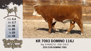 Lot #3 - KR 7093 DOMINO 116J