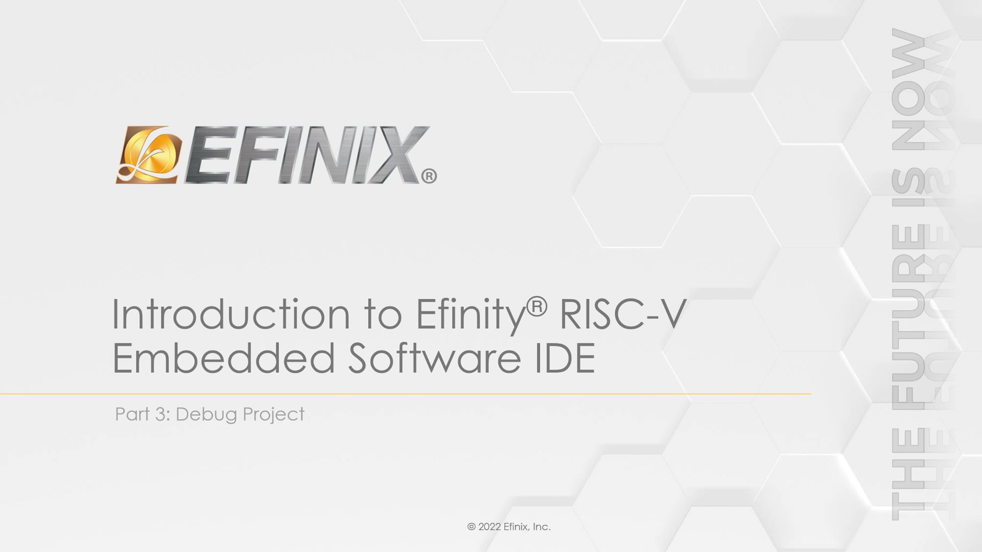 Efinity-Part 3_Debug Project