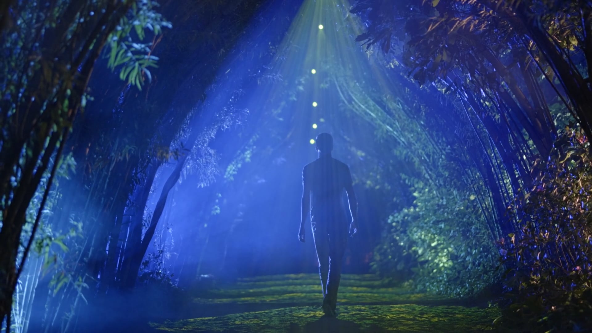 FAERYA CONCEPT - Démo 2022