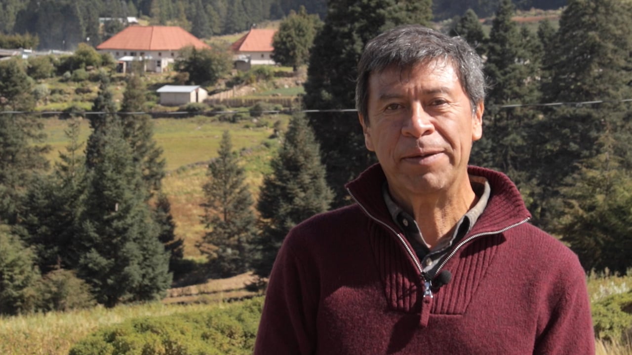 Conservación del Bosque
