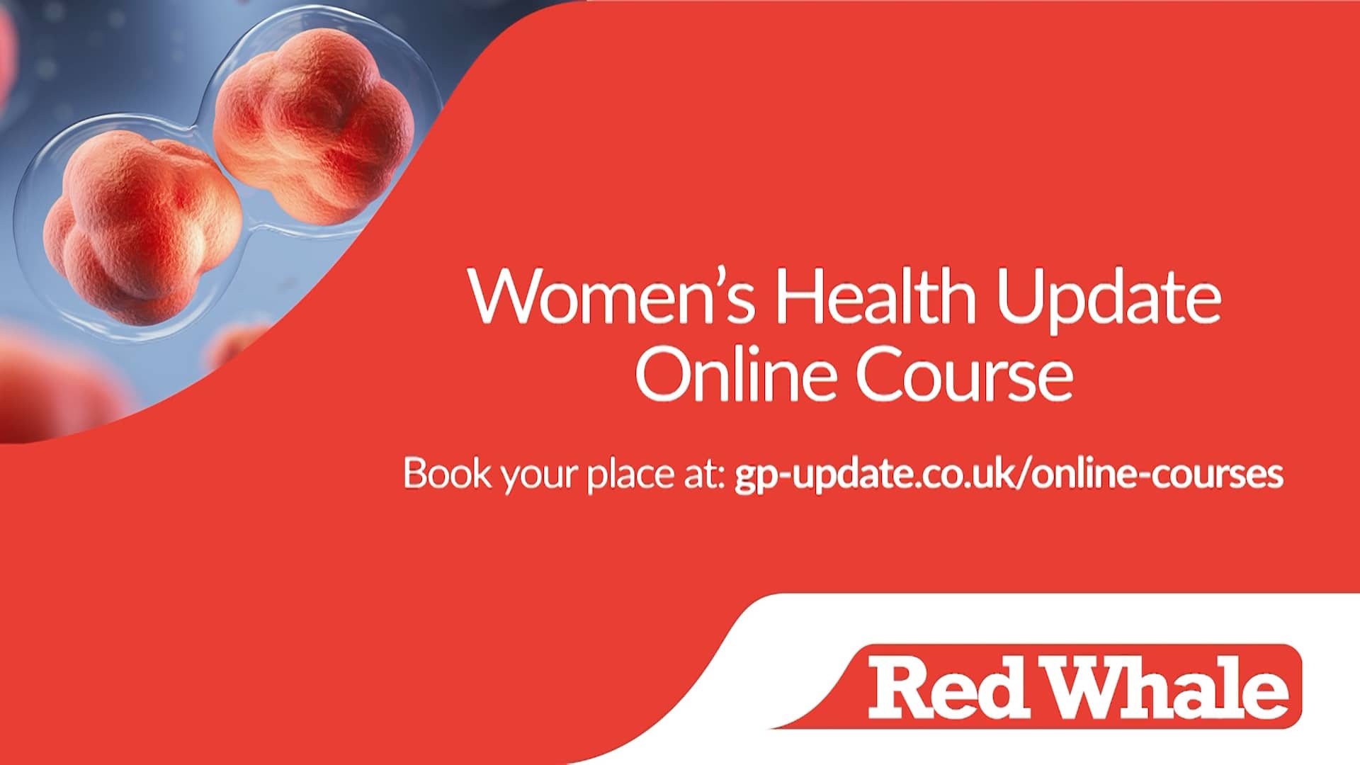 Women's Health Update Online Course on Vimeo
