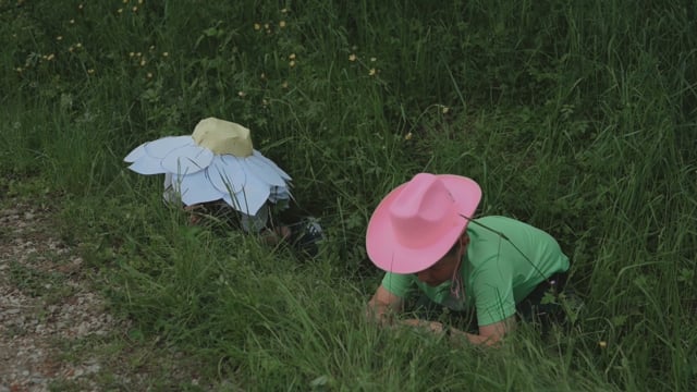 Videoclip Pflanzen - Staffelberg Projekt
