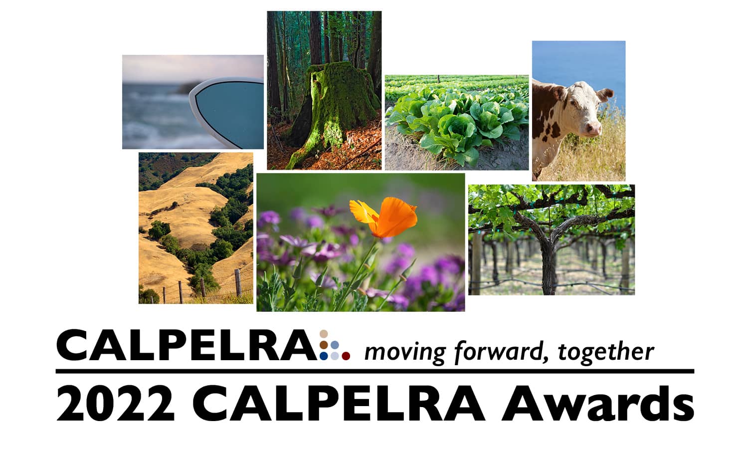 2022 CALPELRA Awards Ceremony on Vimeo