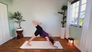 Related Embedded Video Item Thumbnail