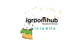 Related Embedded Video Item Thumbnail