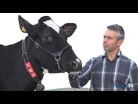 La alimentación de las campeonas