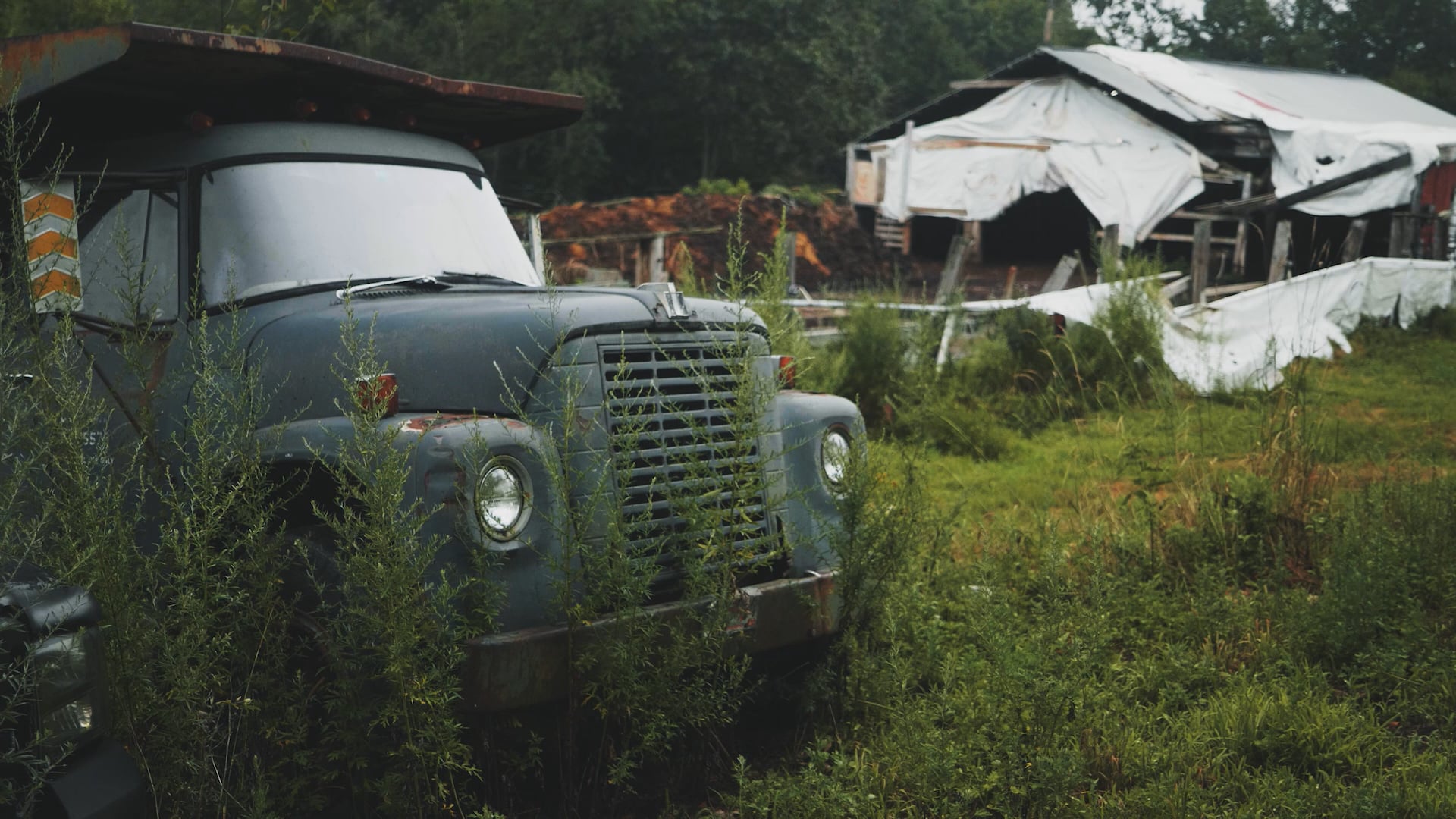 Arundel Dairy Farmer Sounds the Alarm on "Forever Chemicals"