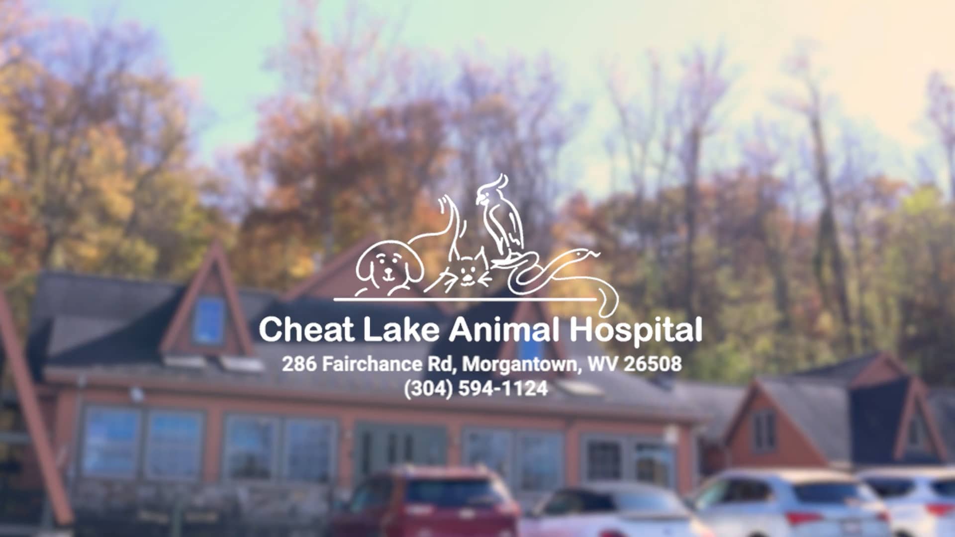 Cheat Lake Animal Hospital Branding Video | West Virginia's Premier 24 ...