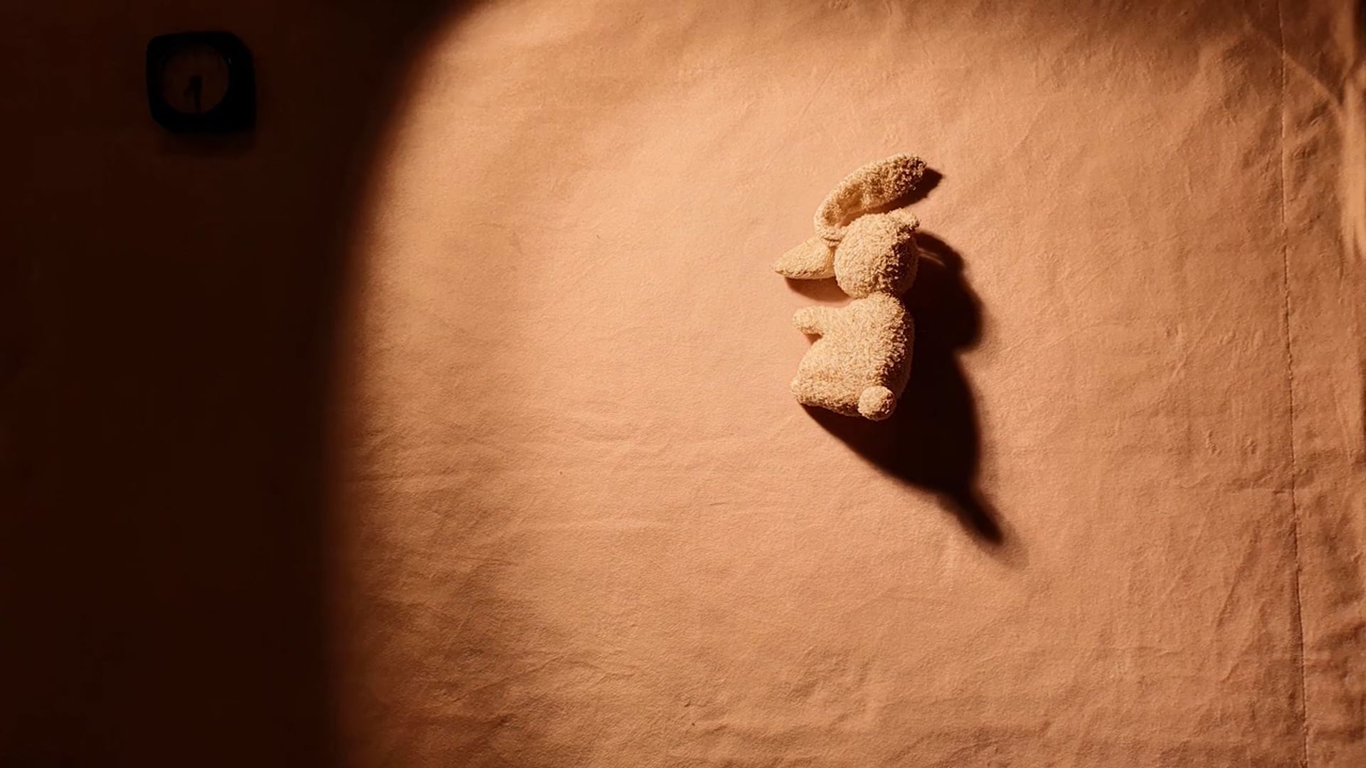 Short Films