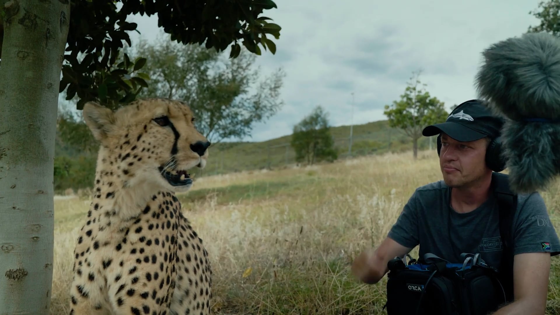 Sennheiser AMBEO | Documentary | Primal Campaign | FOUNDRY on Vimeo