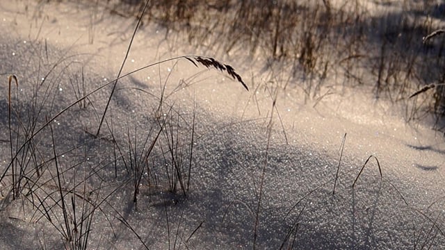 Neige Congère Hiver - Free video on Pixabay - Pixabay