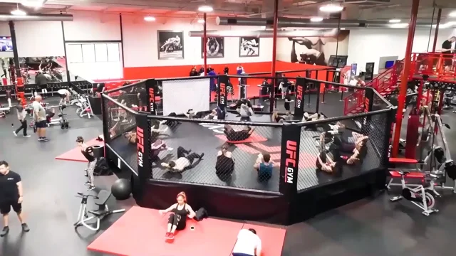 UFC GYM  UFC FIT