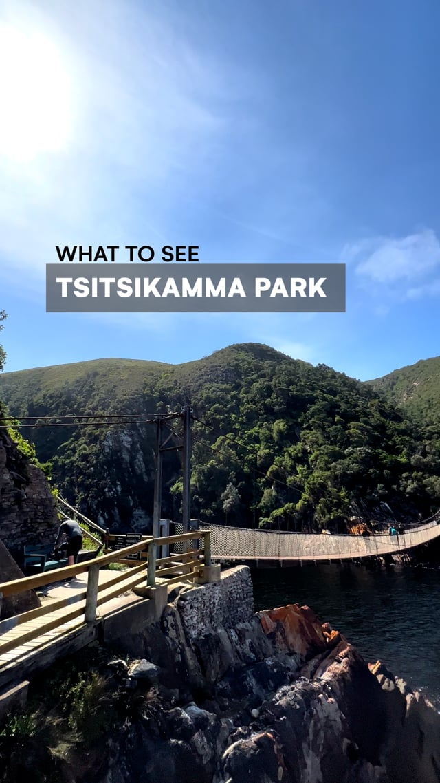 What to See in South Africa - Tsitsikamma Park