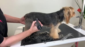 Related Embedded Video Item Thumbnail