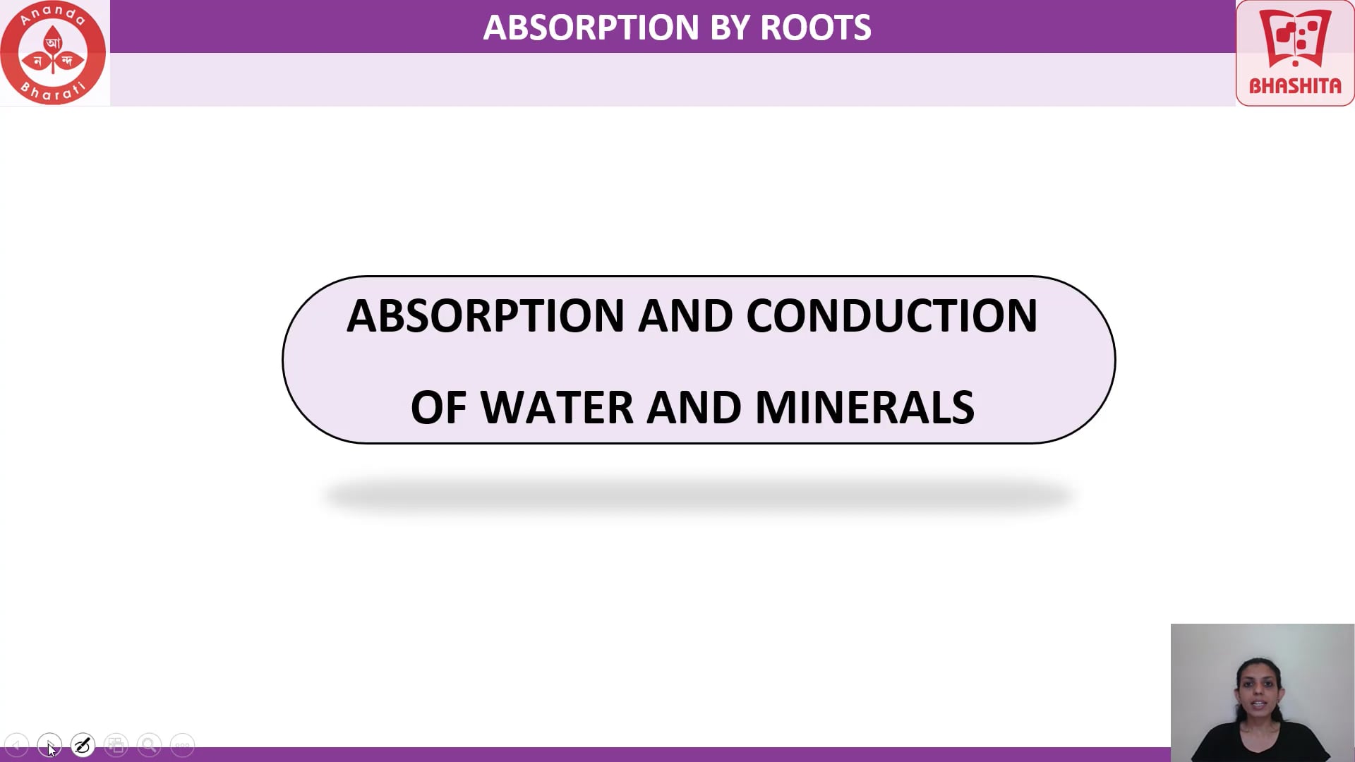3.2 ABSORPTION BY ROOTS
