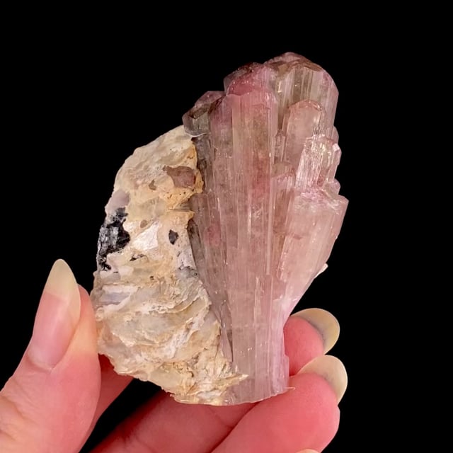 Tourmaline (bi-color crystals)