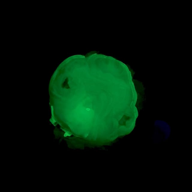 Lavender Chalcedony (fluorescent) (NEW FIND)