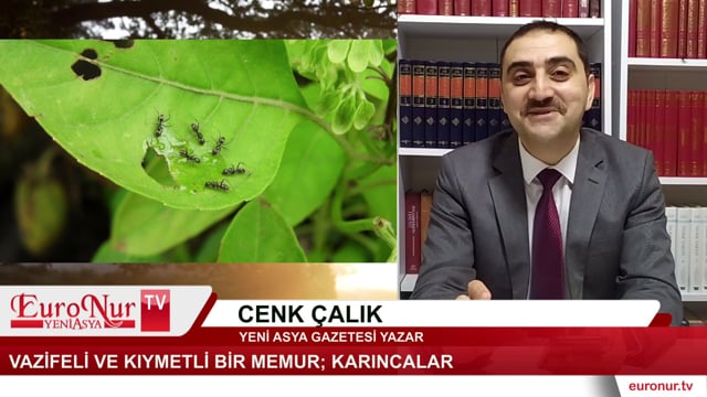 Vazifeli ve kıymetli bir memur; Karıncalar