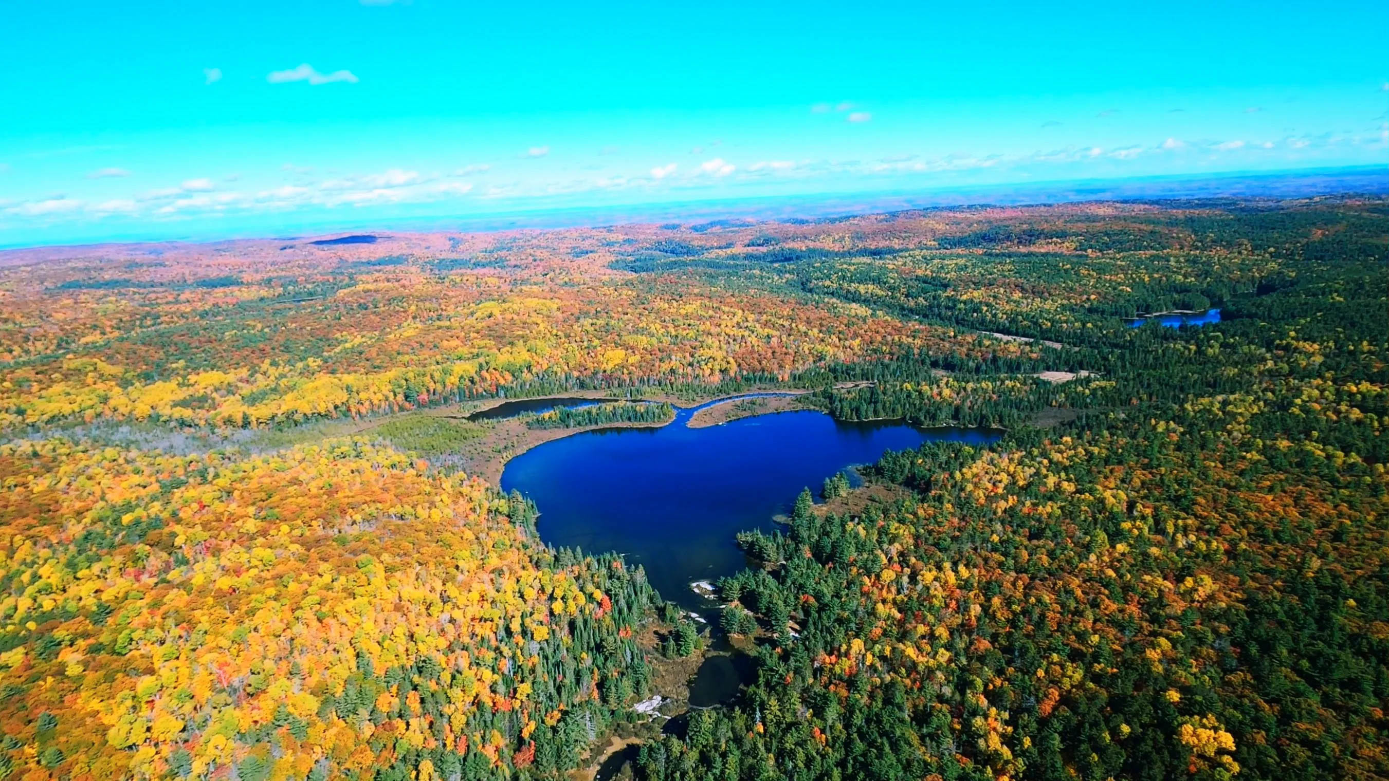 Oct 10, 2022 - Fall Colours on Vimeo