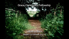 The Lamb is Born
