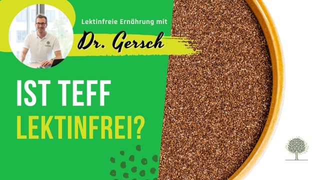 Ist Teff eine Hirseart, ist Teff daher auch lektinfrei?