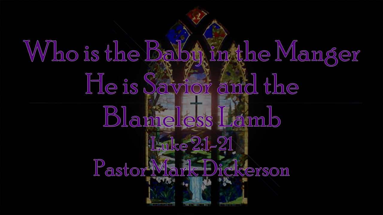 Who is the Baby - Savior and Blameless Lamb.mp4