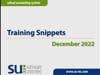 Training Snippets - December 2022