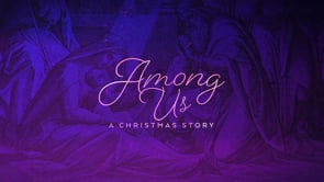 The King In A Manger