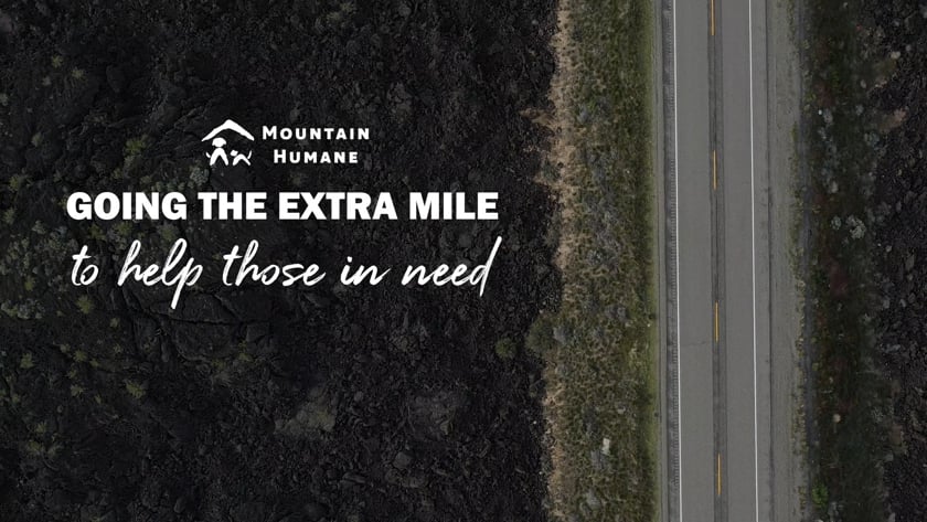 vimeo-video-thumbnail