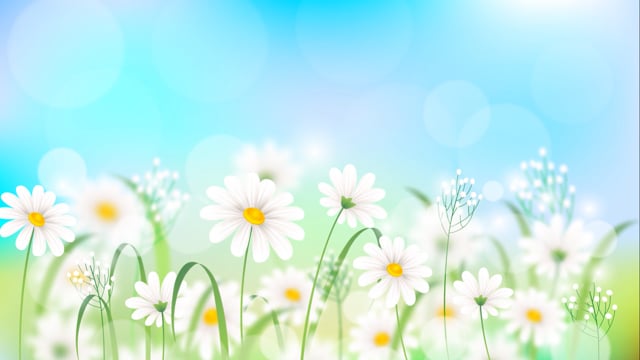 Bông hoa trắng - Với sắc trắng tinh khiết, bông hoa trắng thể hiện sự tươi mới và sự thanh lịch, tạo ra cho người xem một cảm giác êm dịu và thư giãn. Khám phá những hình ảnh bông hoa trắng tuyệt đẹp này và cảm nhận ngay sự yên bình tuyệt vời mà chúng mang lại.