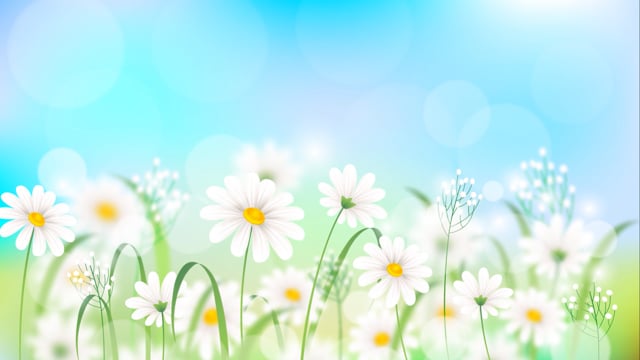 200+ Free Flower Background & Background Videos, HD & 4K Clips - Pixabay